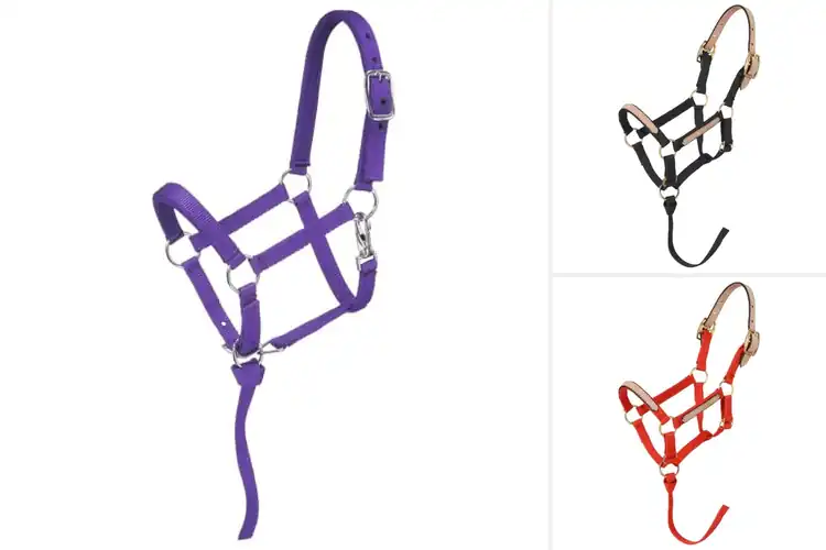 Detailed view of Best Adjustable Miniature Halters