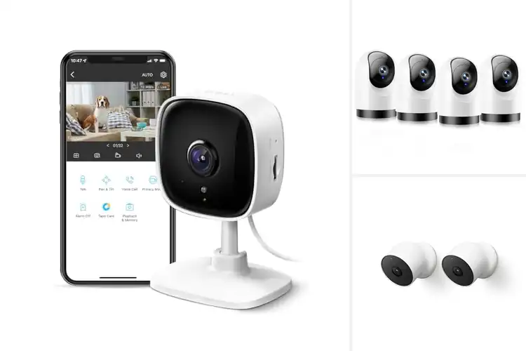 Detailed view of best alexa and google compatible cameras
