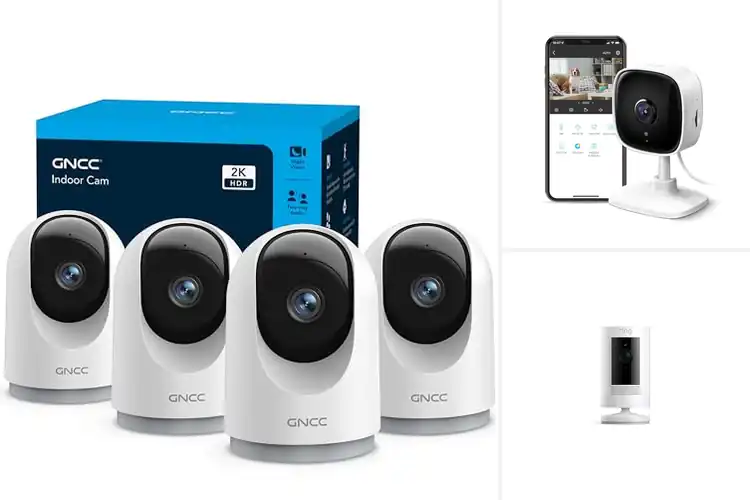 Detailed view of Best Alexa Compatible Cameras