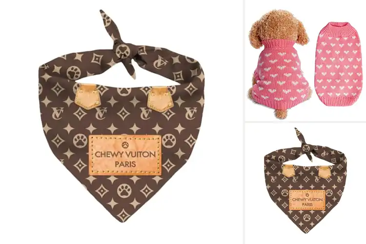 Detailed view of Best Dog Fashion