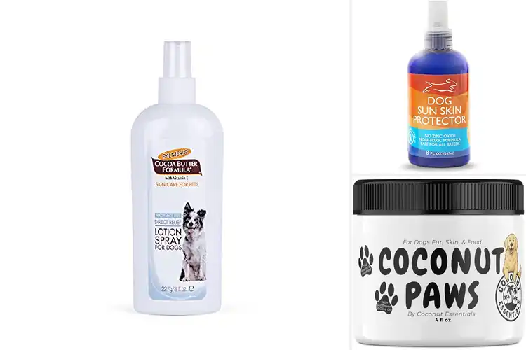 Detailed view of Best Dog Skin Protection