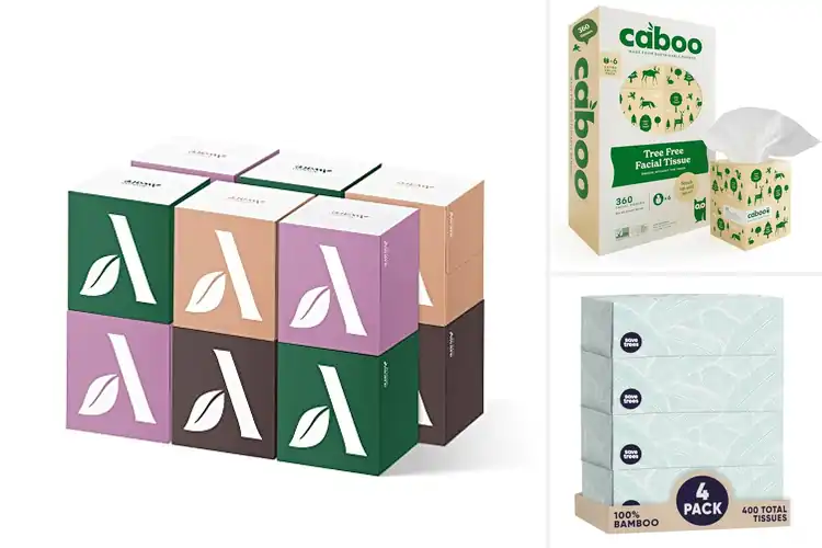 Detailed view of Best Eco-Friendly Facial Tissues