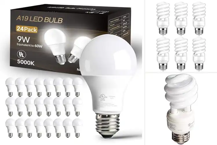 Detailed view of Best Eco-Friendly Light Bulbs