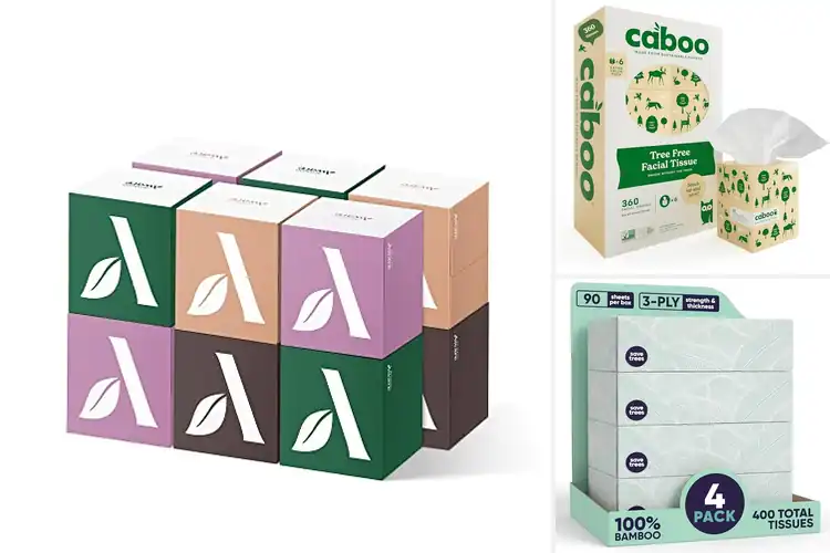 Detailed view of Best Eco-Friendly Tissues