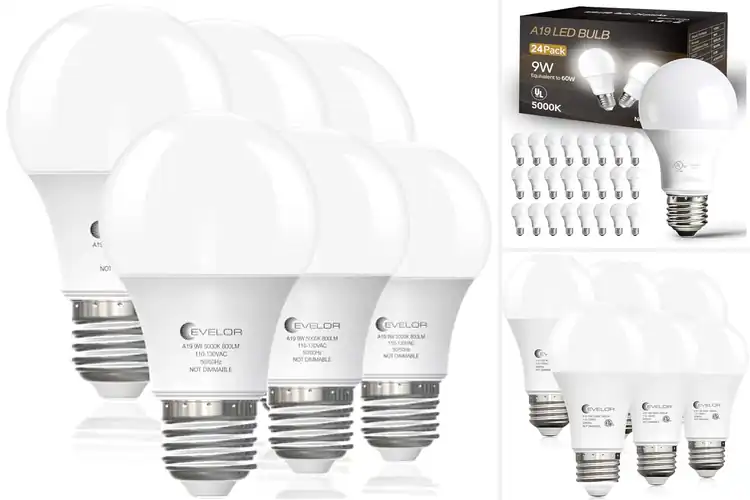 Detailed view of Best Energy Efficient Bulbs: Top 10 Bright & Reliable Picks