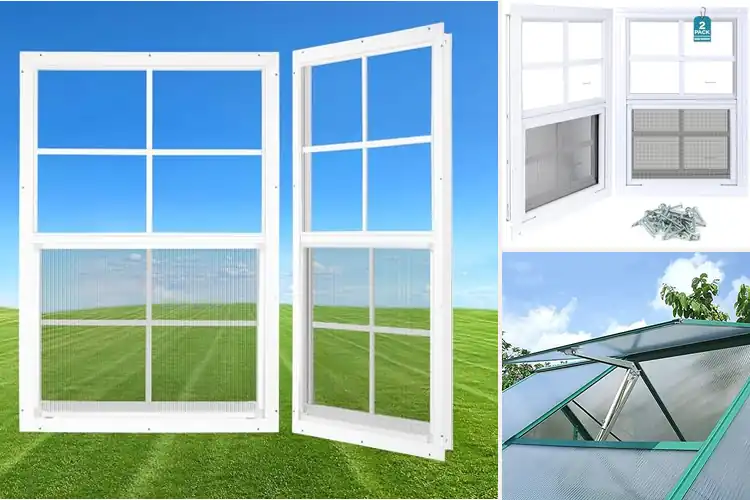 Detailed view of Best Greenhouse Windows: Top 10 Picks for Thriving Plants