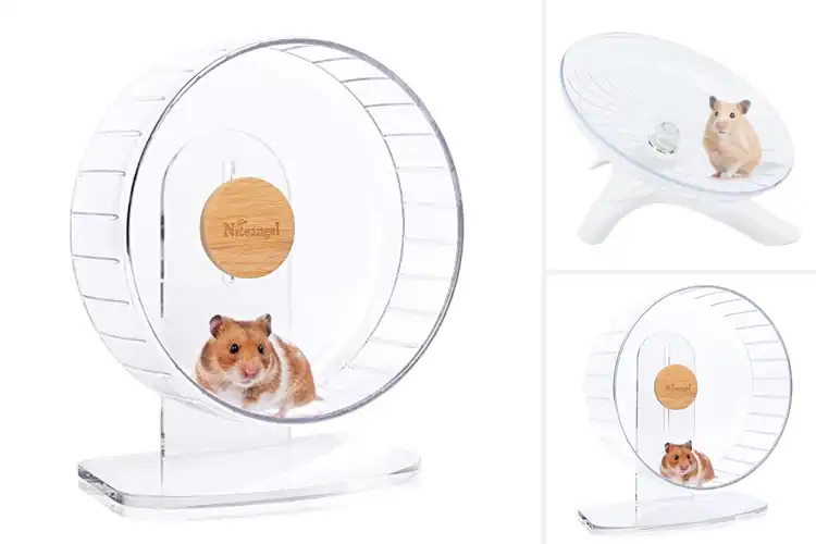Detailed view of Best Hamster Running Wheels: Top Picks for Safe, Quiet Fun
