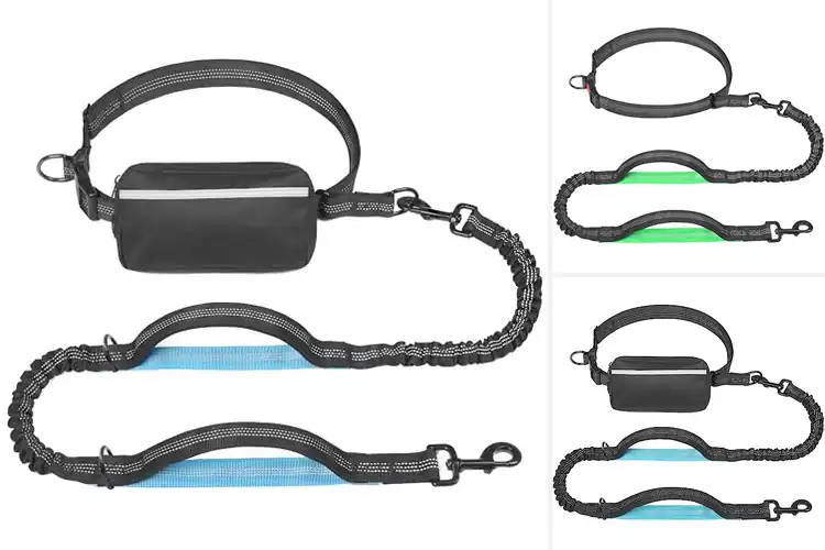 Detailed view of Best Hands Free Dog Leashes