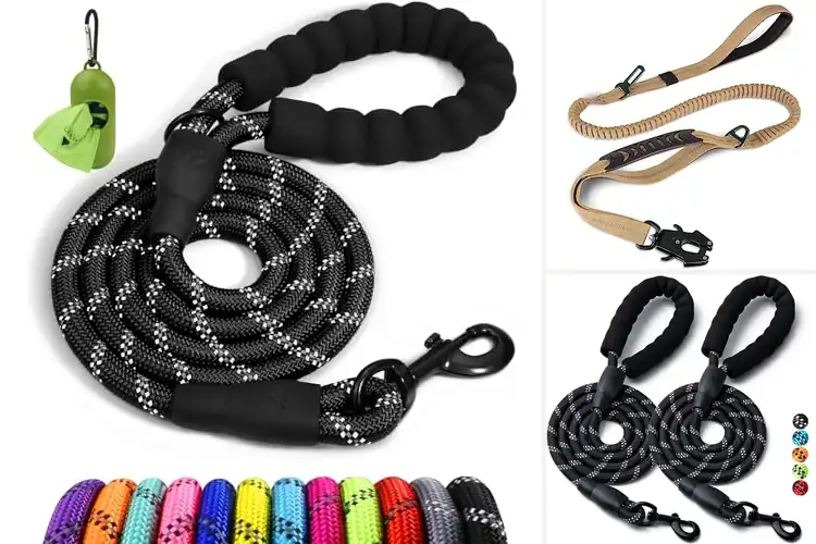 Detailed view of Best Heavy Duty Dog Leashes: Top 10 Picks for Safe Walks