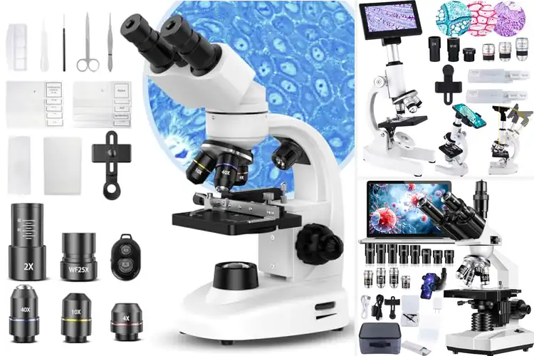 Detailed view of Best High Magnification Microscopes