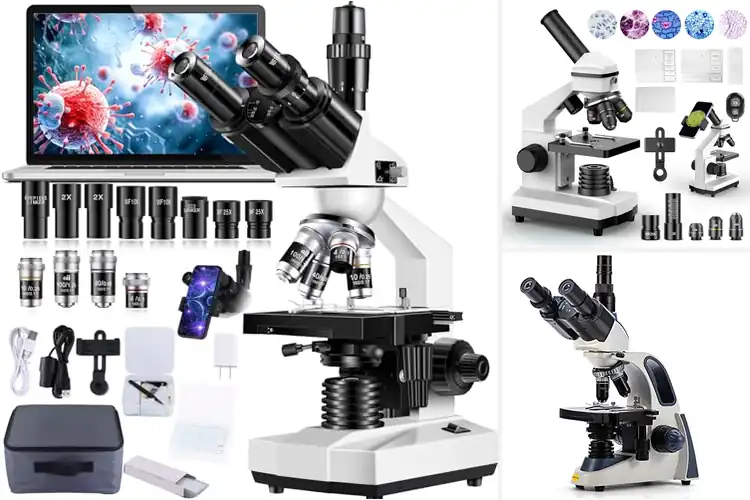 Detailed view of Best Laboratory Microscopes