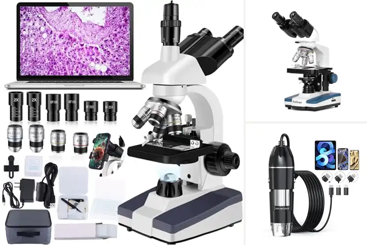 Detailed view of Best Microscopes With Cameras