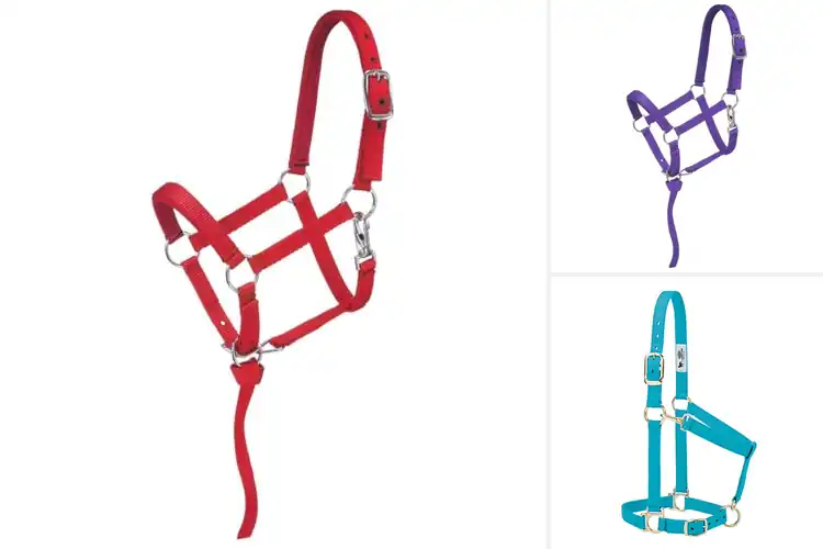 Detailed view of Best Miniature Nylon Padded Halters