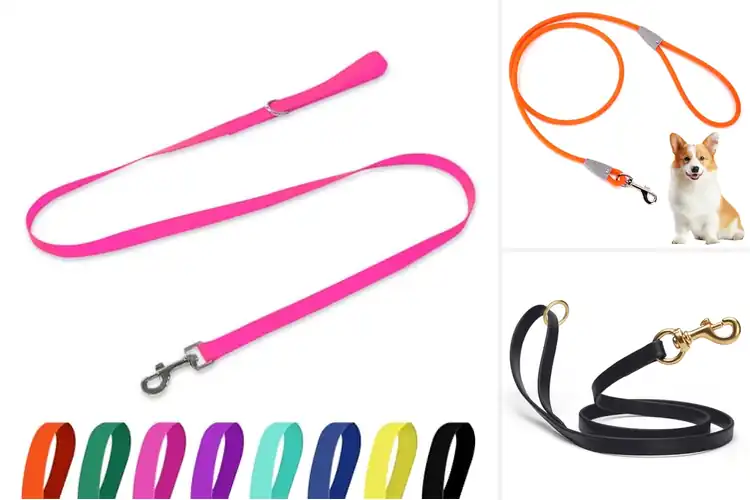 Detailed view of Best Odor Proof Dog Leashes