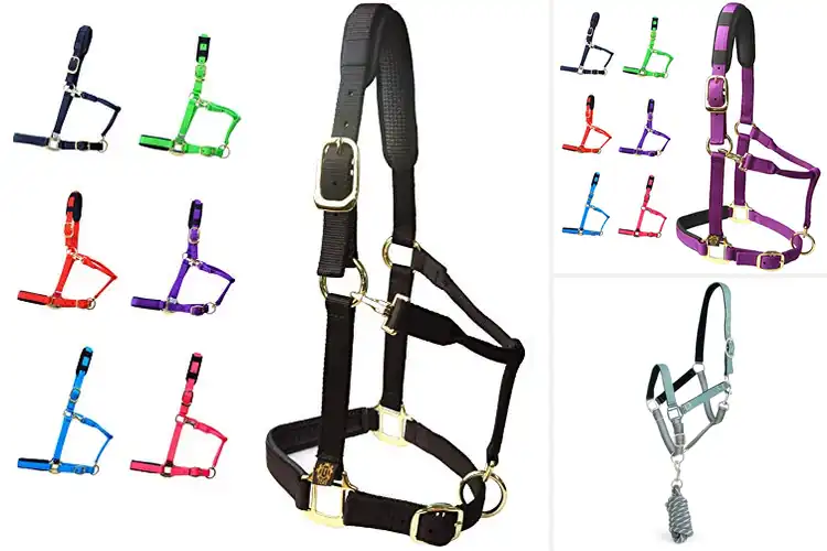 Detailed view of Best Padded Crown Halters