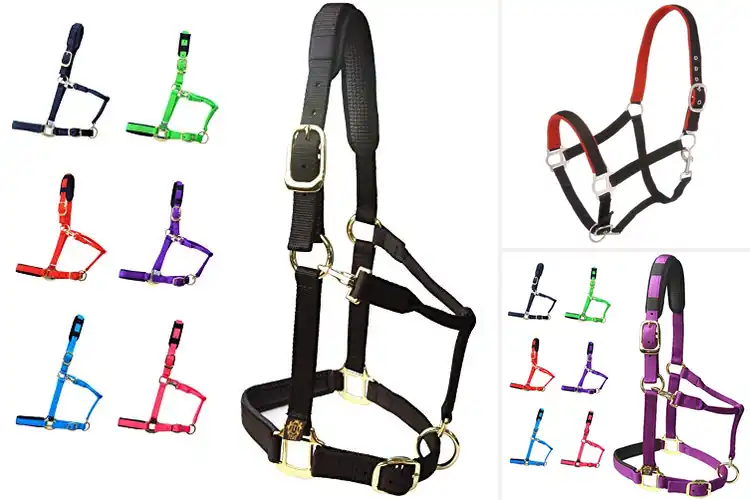Detailed view of Best Padded Nose Halters: Top 10 Picks for Comfort & Style