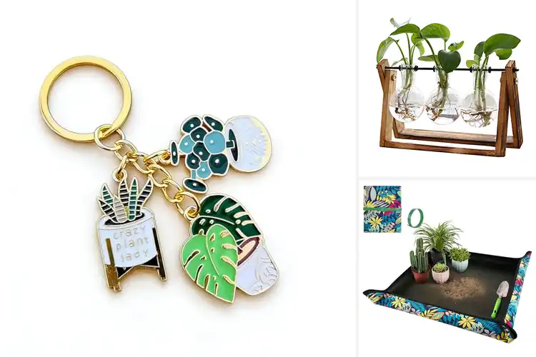 Detailed view of Best Plant Lover Gifts