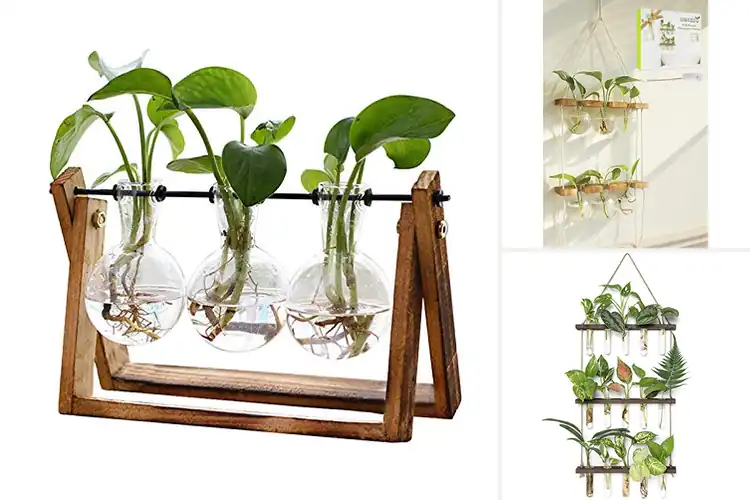Detailed view of Best Propagation Stations