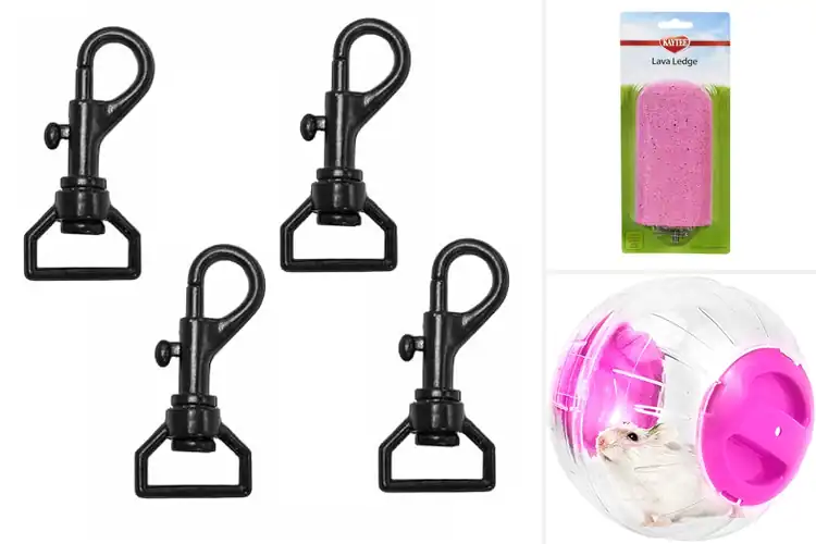 Detailed view of Best Small Pet Exercise Accessories