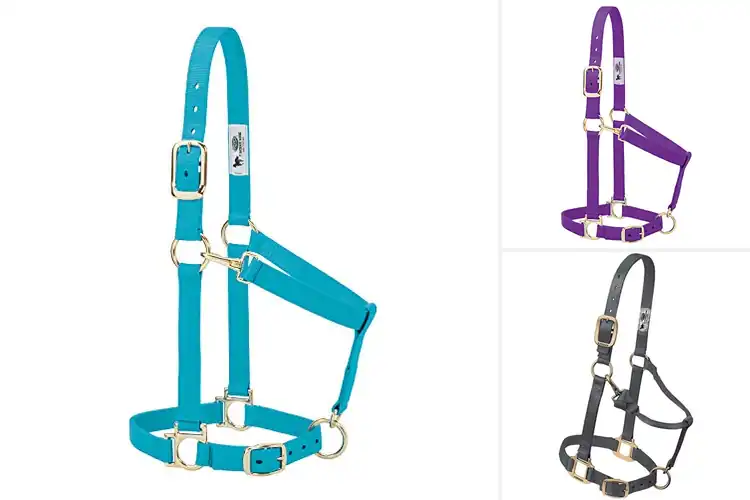 Detailed view of Best Snap Throat Halters: Top 10 Picks for Style & Safety