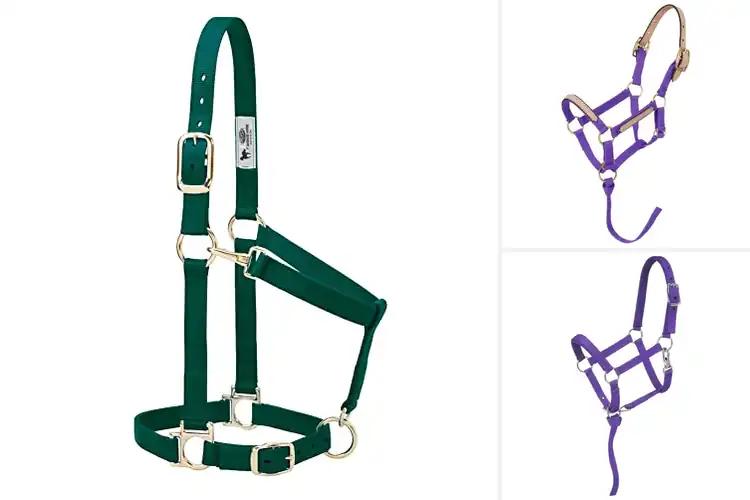 Detailed view of Best Strong Nylon Halters