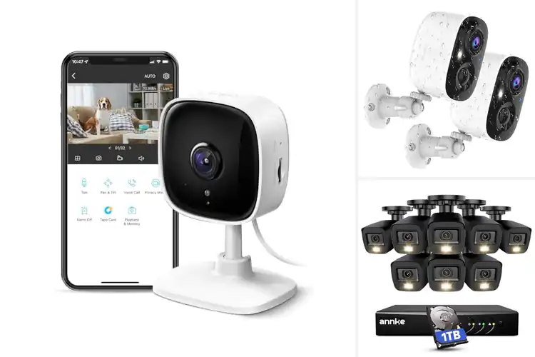 Detailed view of Best Surveillance Cameras