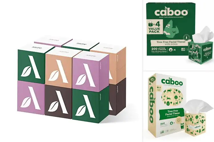 Detailed view of Best Sustainable Facial Tissues
