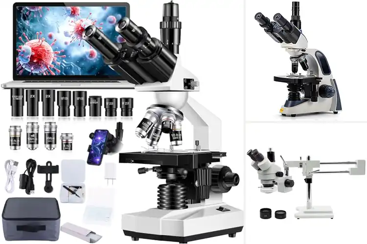 Detailed view of Best Trinocular Microscopes