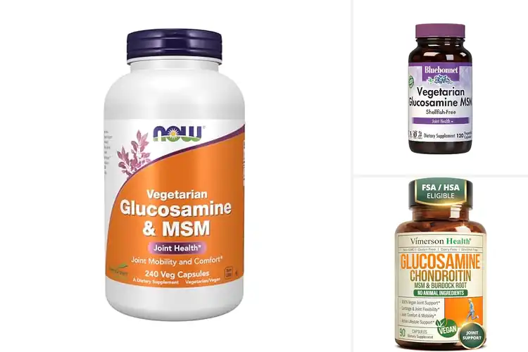 Detailed view of Best Vegetarian Glucosamine Supplements