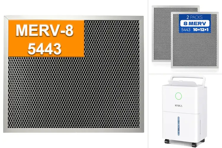 Detailed view of Best Washable Dehumidifier Filters: Save Money, Breathe Easy