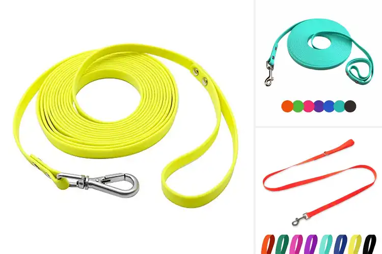 Detailed view of Best Waterproof Dog Leashes