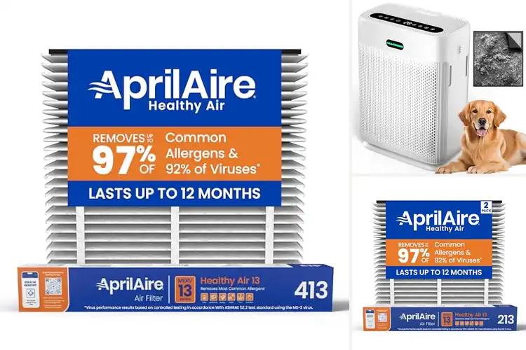 Detailed view of Best Whole-House Air Filters