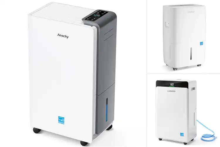 Detailed view of Best Whole House Dehumidifiers